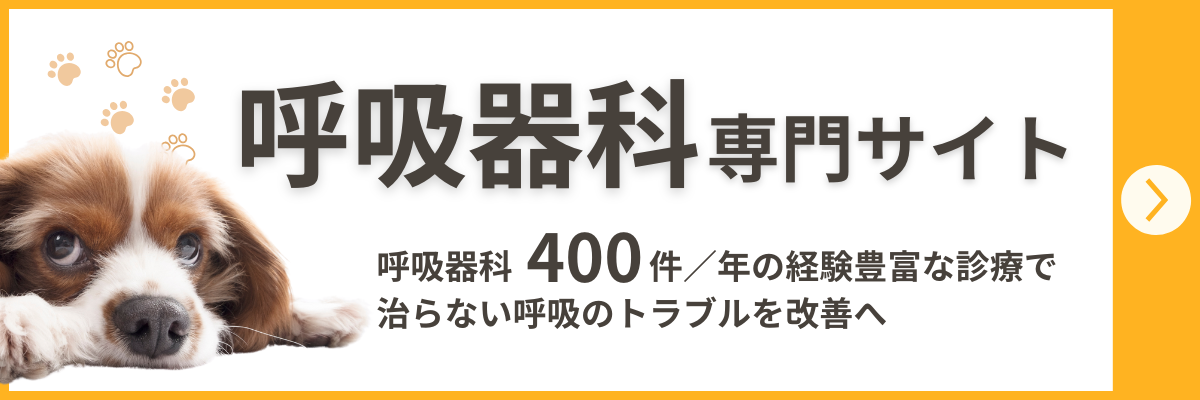 呼吸器科専門サイト